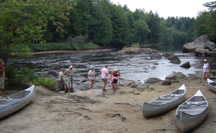 Welcome to our new&nbsp;website